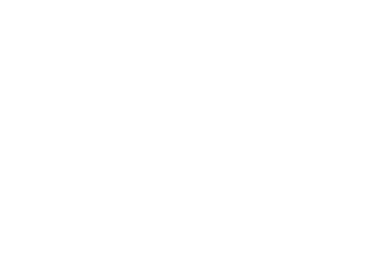 GRUPO PLATA